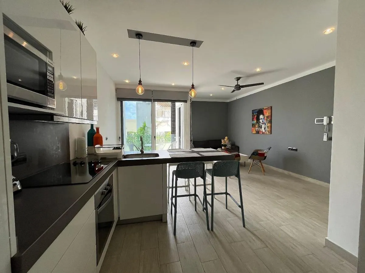 Cute And Great Location Place Downtown Playa Playa del Carmen Apartment